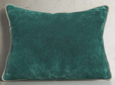 GreenGoodallVelvetThrowPillow